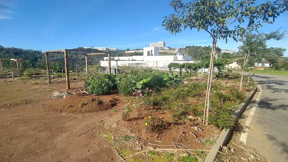Horta urbana em Garibaldi, Rio Grande do Sul, foto3
