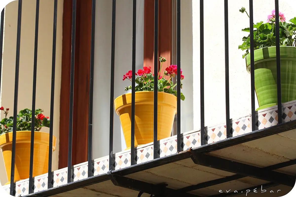 Spring pots